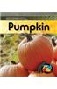 Life Cycle of a Pumpkin