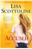Accused: A Rosato & Associates Novel