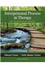 Interpersonal Process in Therapy: An Integrative Model