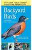 Backyard Birds