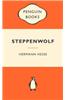 Steppenwolf