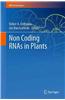Non Coding RNAs in Plants