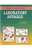 Laboratory Animals