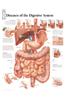 Diseases of the Digestive System