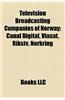 Television Broadcasting Companies of Norway