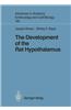Development of the Rat Hypothalamus