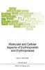 Molecular and Cellular Aspects of Erythropoietin and Erythropoiesis