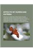 Effects of Hurricane Katrina: Effects of Hurricane Katrina in New Orleans, Hurricane Katrina Effects by Region, Effects of Hurricane Katrina in Miss