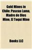 Gold Mines in Chile: Pascua Lama, Madre de Dios Mine, El Toqui Mine
