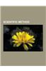 Scientific Method: Statistics, Theory, Skepticism, Physical Law, Protoscience, Alhazen, Serendipity, Peer Review, Inverse-Square Law, Rep