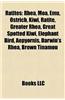 Ratites: Rhea, Moa, Emu, Ostrich, Kiwi, Ratite, Elephant Bird, Greater Rhea, Great Spotted Kiwi, Aepyornis, Darwin's Rhea, Brow