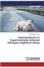 Haemonchosis in Experimentally Infected Ethiopian Highland Sheep