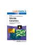 Nitride Ceramics: Combustion Synthesis, Properties and Applications