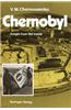Chernobyl: Insight from the Inside