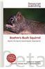 Boehm's Bush Squirrel