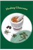 Healing Glaucoma: Natural Medicine for Self-Healing
