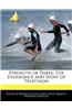 Strength of Three: The Endurance and Sport of Triathlon