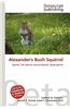 Alexander's Bush Squirrel