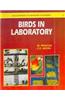 Birds in Laboratory