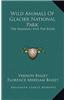 Wild Animals of Glacier National Park: The Mammals and the Birds