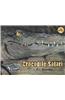 Crocodile Safari [With DVD]