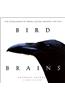 Bird Brains