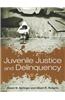 Juvenile Justice and Delinquency