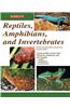 Reptiles, Amphibians, and Invertebrates: An Identification and Care Guide