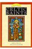 Little Book of Celtic Saints
