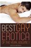 Best Gay Erotica of the Year, Volume 1