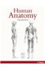 Human Anatomy for Artists