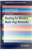 Routing for Wireless Multi-Hop Networks
