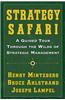 Strategy Safari: A Guided Tour Through the Wilds of Strategic Mangament