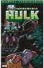 Hulk Visionaries