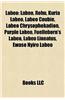 Labeo: Rohu, Kuria Labeo, Labeo Coubie, Labeo Chrysophekadion, Purple Labeo, Fuelleborn's Labeo, Labeo Lineatus, Ewaso Nyiro