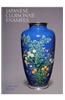 Japanese Cloisonne Enamels