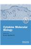 Cytokine Molecular Biology: A Practical Approach