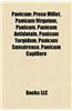 Panicum: Proso Millet, Panicum Virgatum, Panicum, Panicum Antidotale, Panicum Turgidum, Panicum Sumatrense, Panicum Capillare