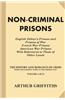 Non-Criminal Prisons