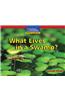 What Lives in a Swamp