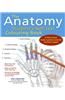Anatomy Student's Self-test Colouring Book