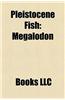 Pleistocene Fish