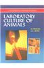 Laboratory Culture of Animals
