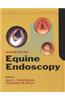 Equine Endoscopy