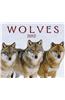Wolves 2012 Calendar