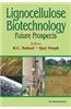 Lignocellulose Biotechnology: Future Prospects
