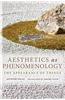 Aesthetics as Phenomenology: The Appearance of Things