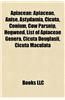 Apiaceae: Anise, Astydamia, Cicuta, Conium, Hogweed, List of Apiaceae Genera, Giant Hogweed, Cicuta Douglasii, Cow Parsnip, Cicu