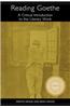 Reading Goethe: A Critical Introduction to the Literary Work