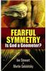 Fearful Symmetry